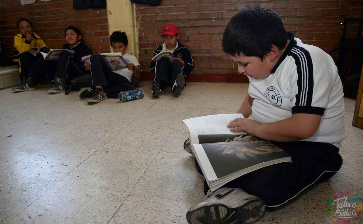Formato de registro de becas familias fuertes edomex en línea