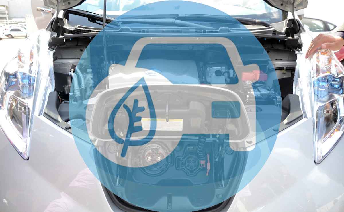 Holograma exento edomex 2021