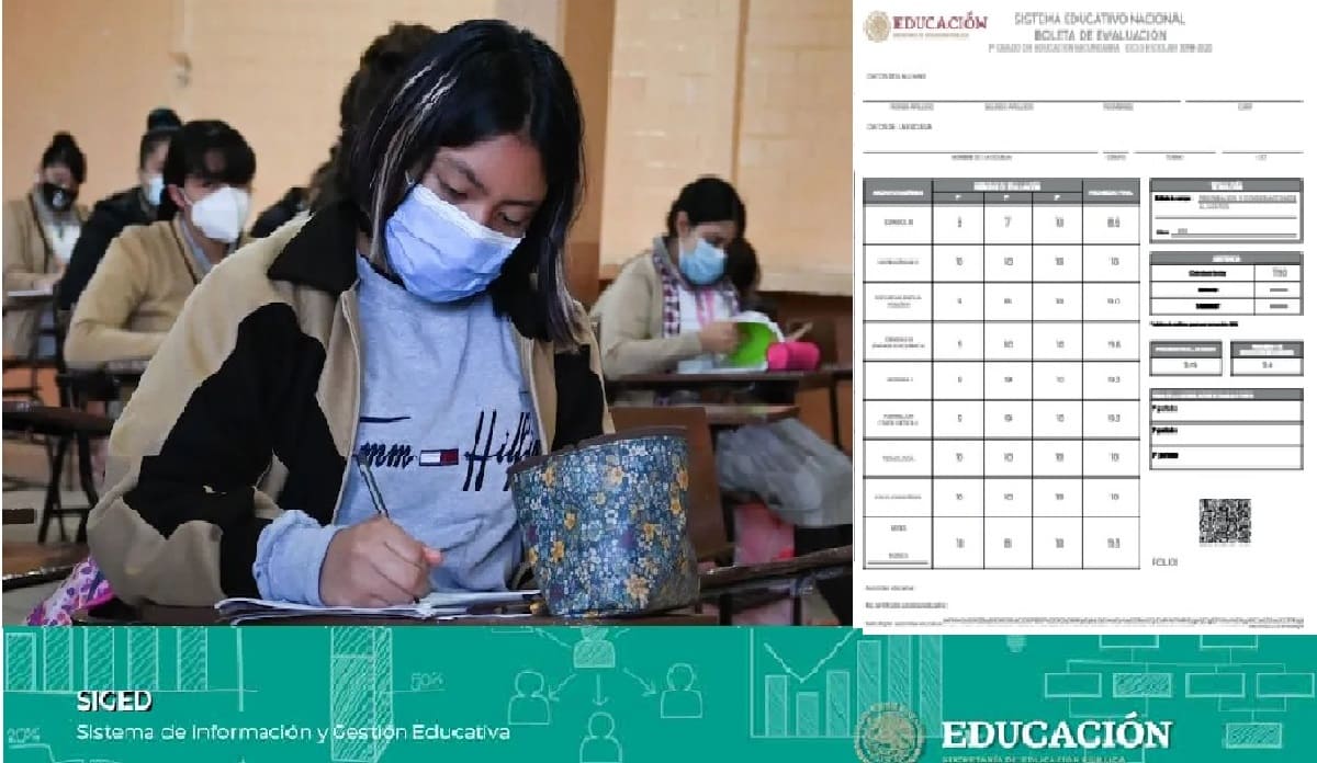 como decsragar la boleta de calificaciones 2021