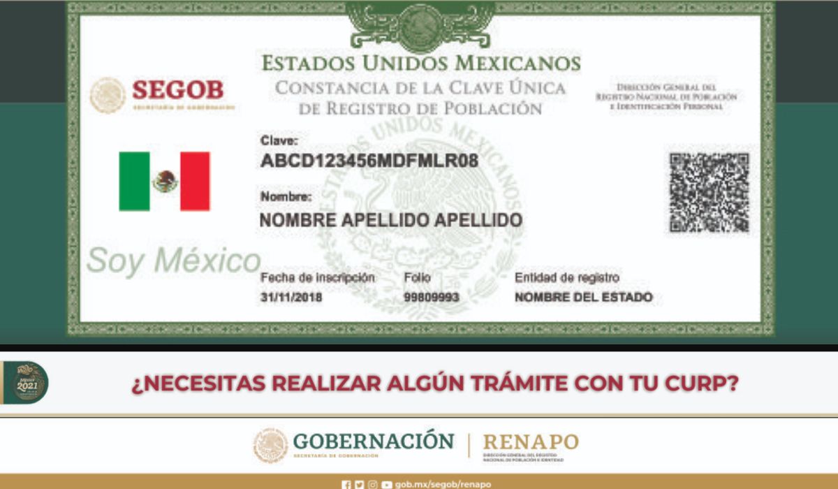 Pasos para obtener tu CURP certificado sin salir de casa