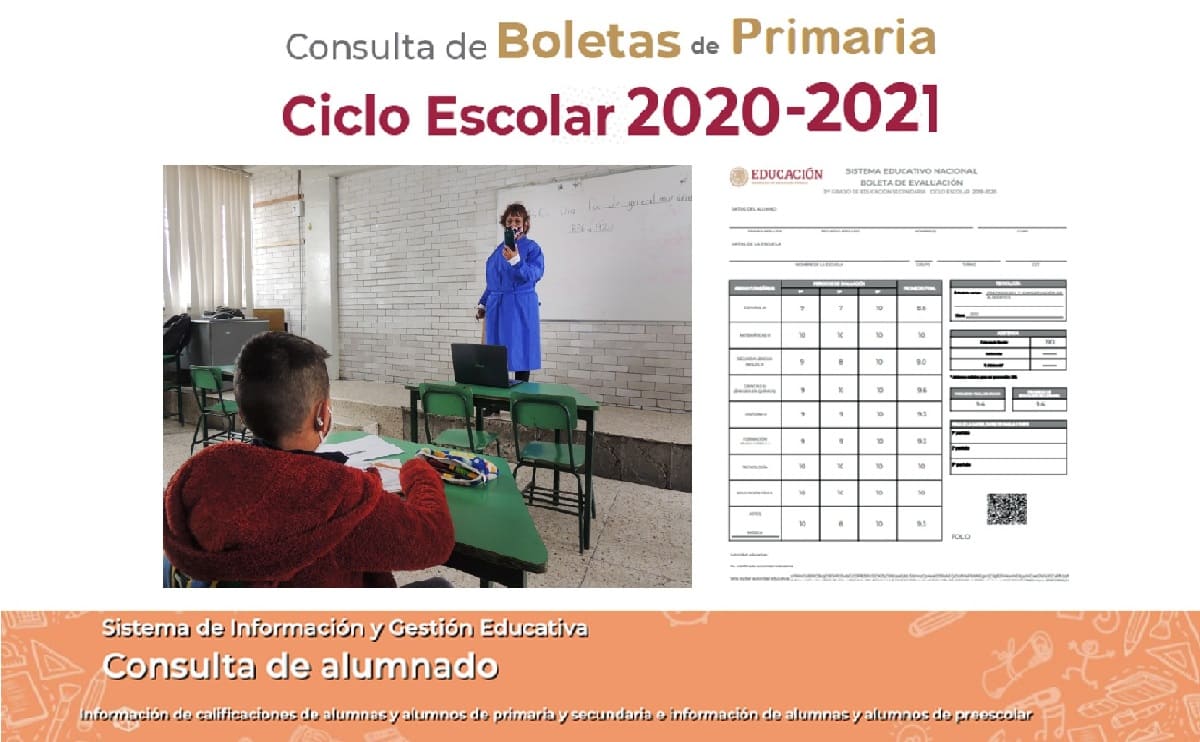 boleta de calificaciones primaria como las reviso