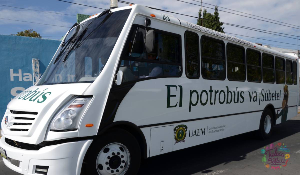Reanudan servicio del Potrobus, conoce todas las rutas