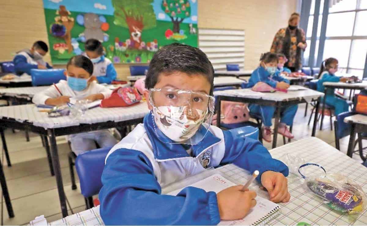 Consulta la fecha para el regreso a clases obligatorio de la SEP