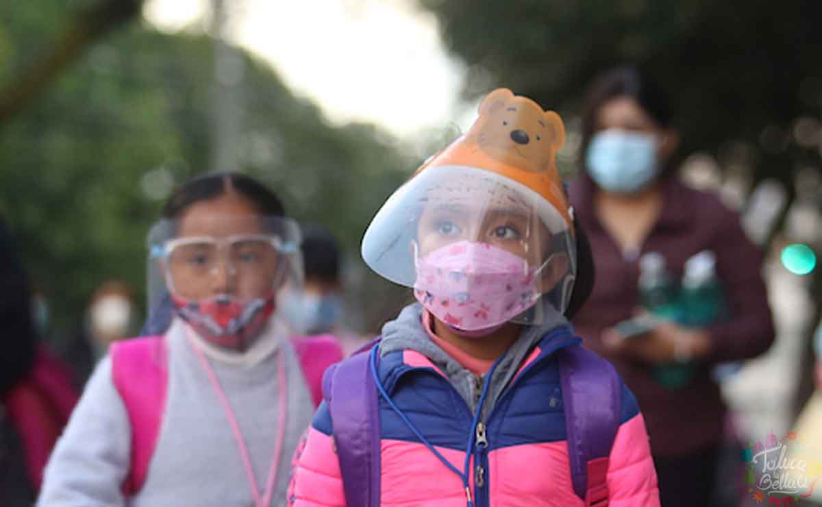 SEP Fecha de entrega boletas calificacionies preescolar, primaria y secundaria.