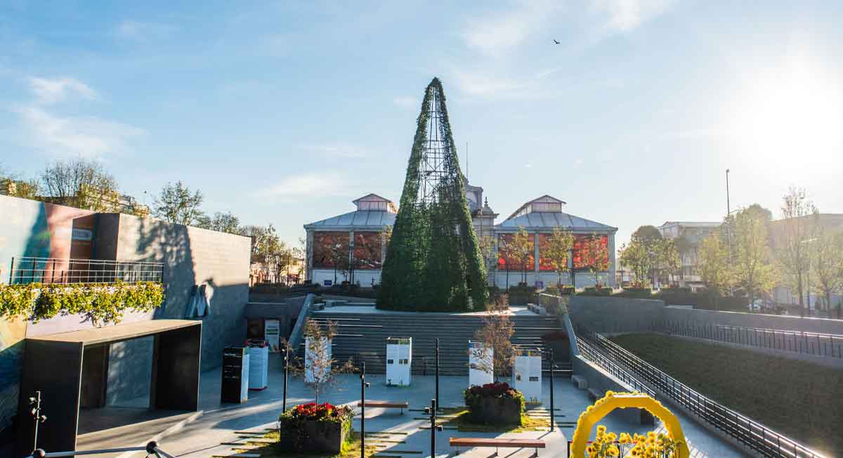Preparativos del encendido de árbol navideño del parque de la ciencia fundadores