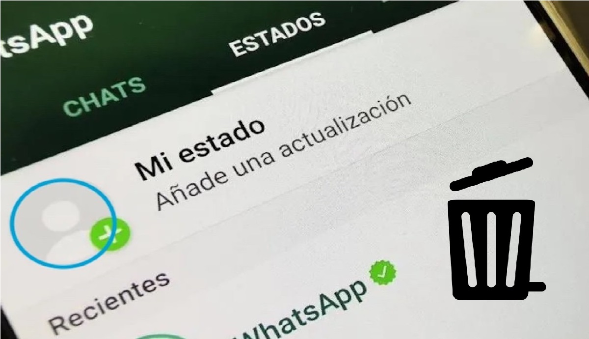 conoce los detalles del boton deshacer de whatsapp