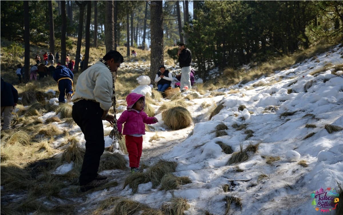 cuanto cuesta ir al nevado de toluca