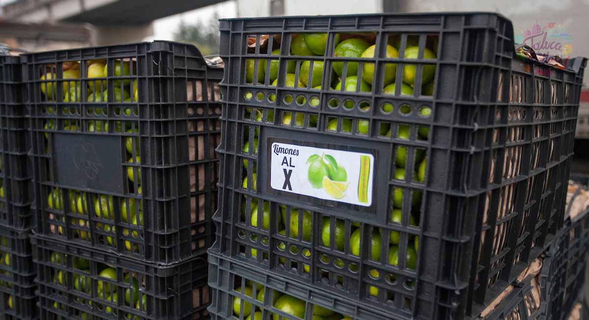 ¿Cuánto cuesta el limón en Toluca?