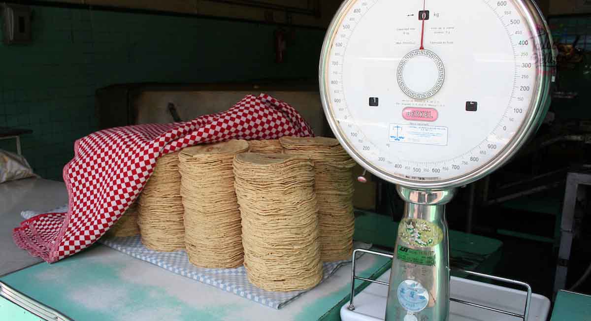 Kilo de tortilla 2022 aumentara su precio, de nuevo
