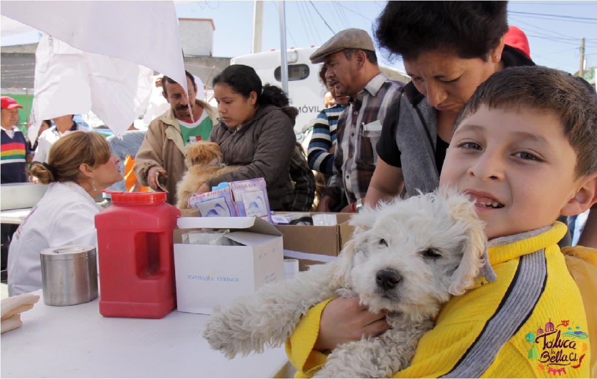 fechas de la campaña de esterilizacion de la uaemex 2022 para perros y gatos