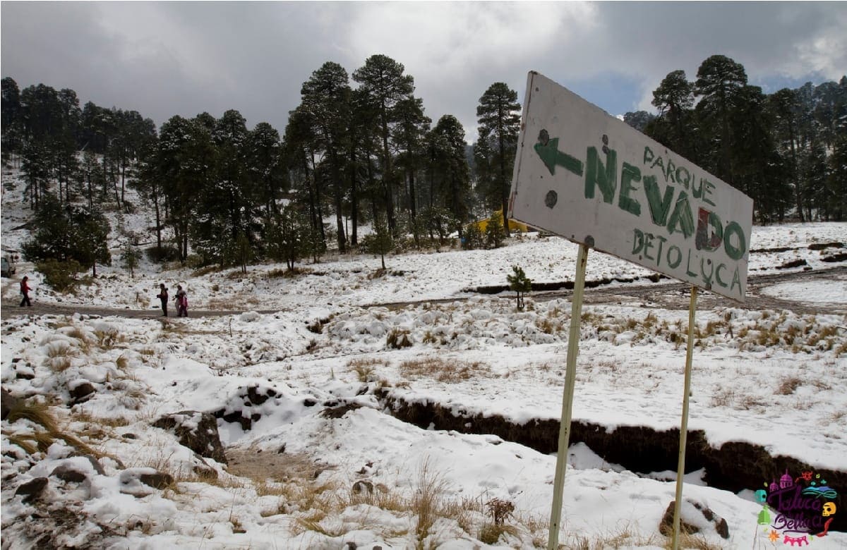 precio por persona para visitar el nevado de toluca 2022