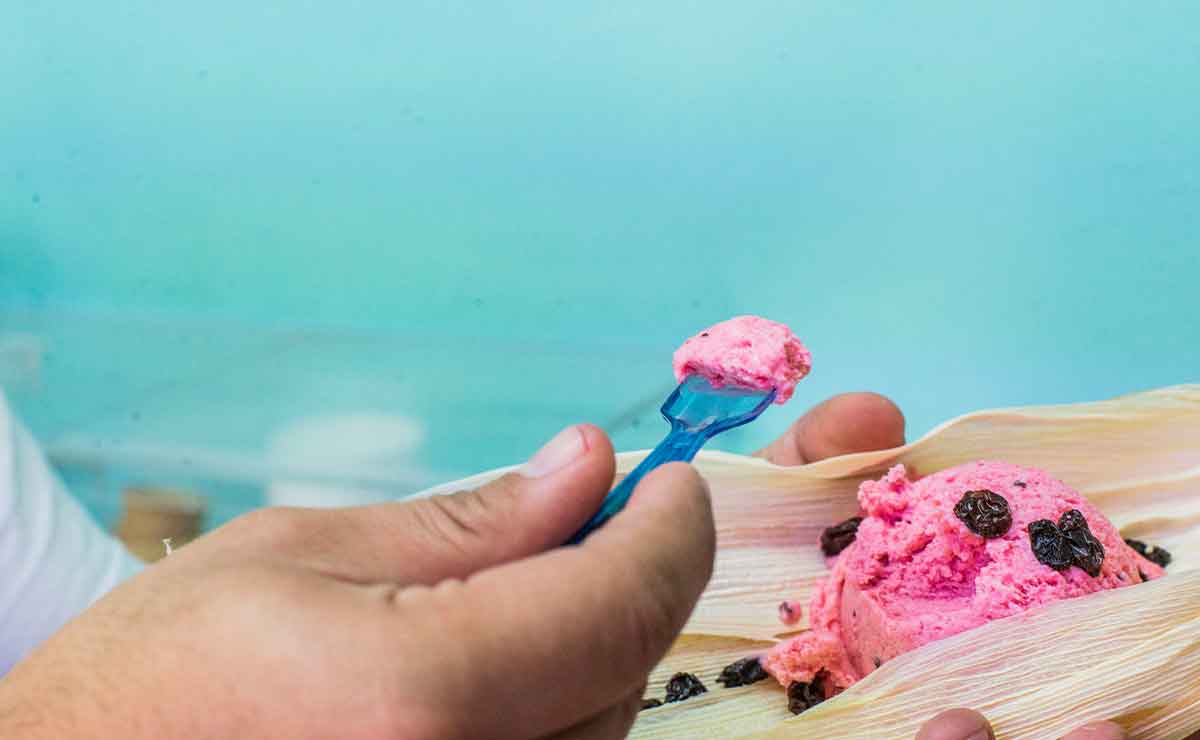 helados artesanales toluca
