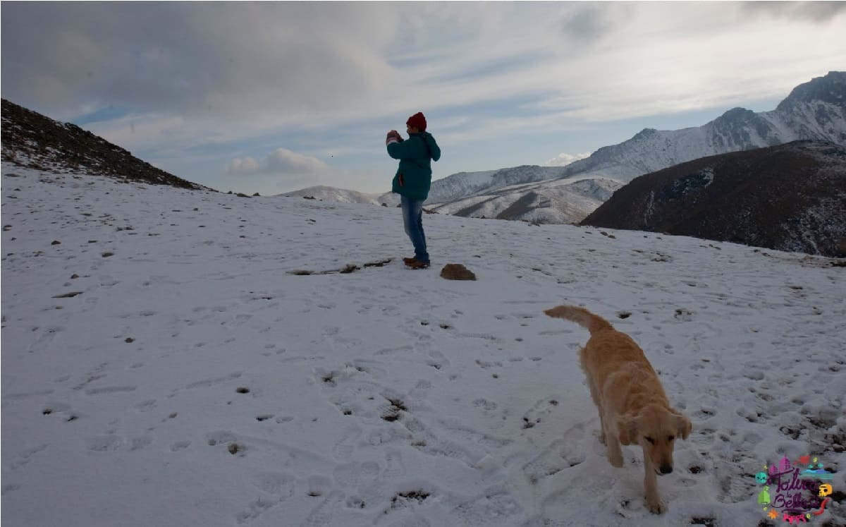 puedo llevar a mi mascota al nevado de toluca