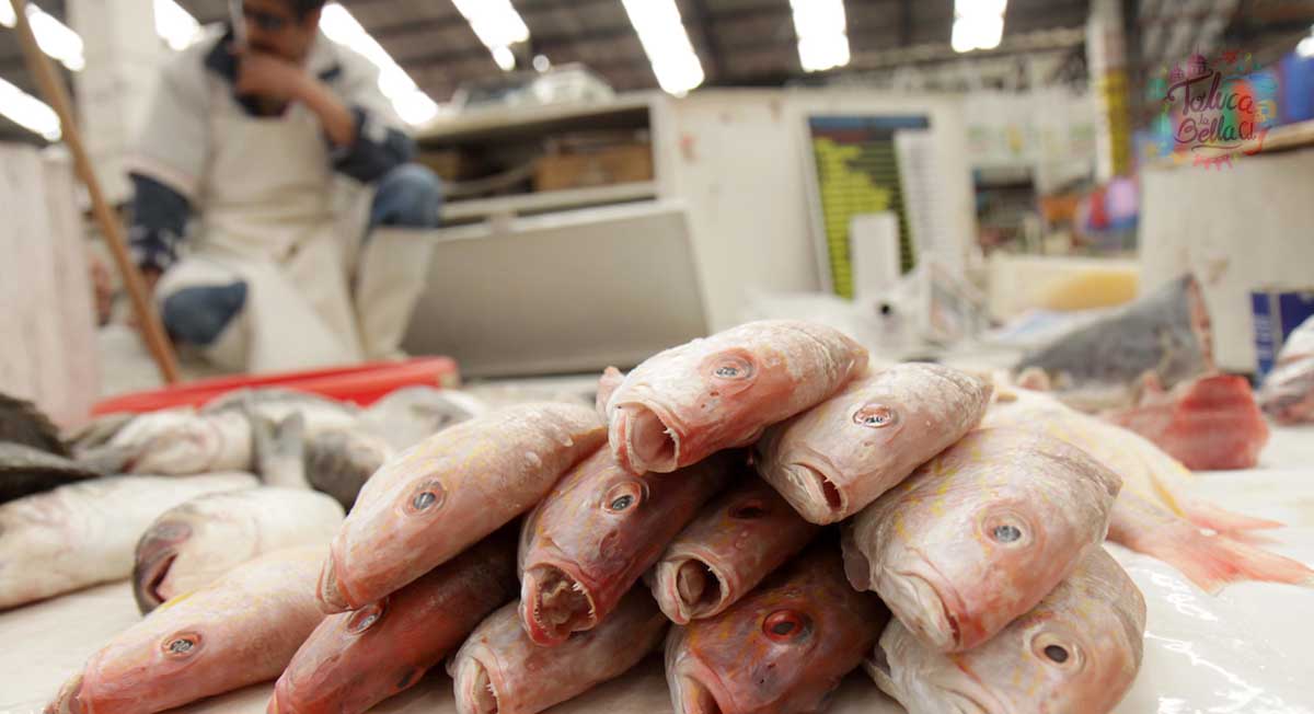 Cuaresma 2022 ¿Qué pescado no comprar en esta temporada?