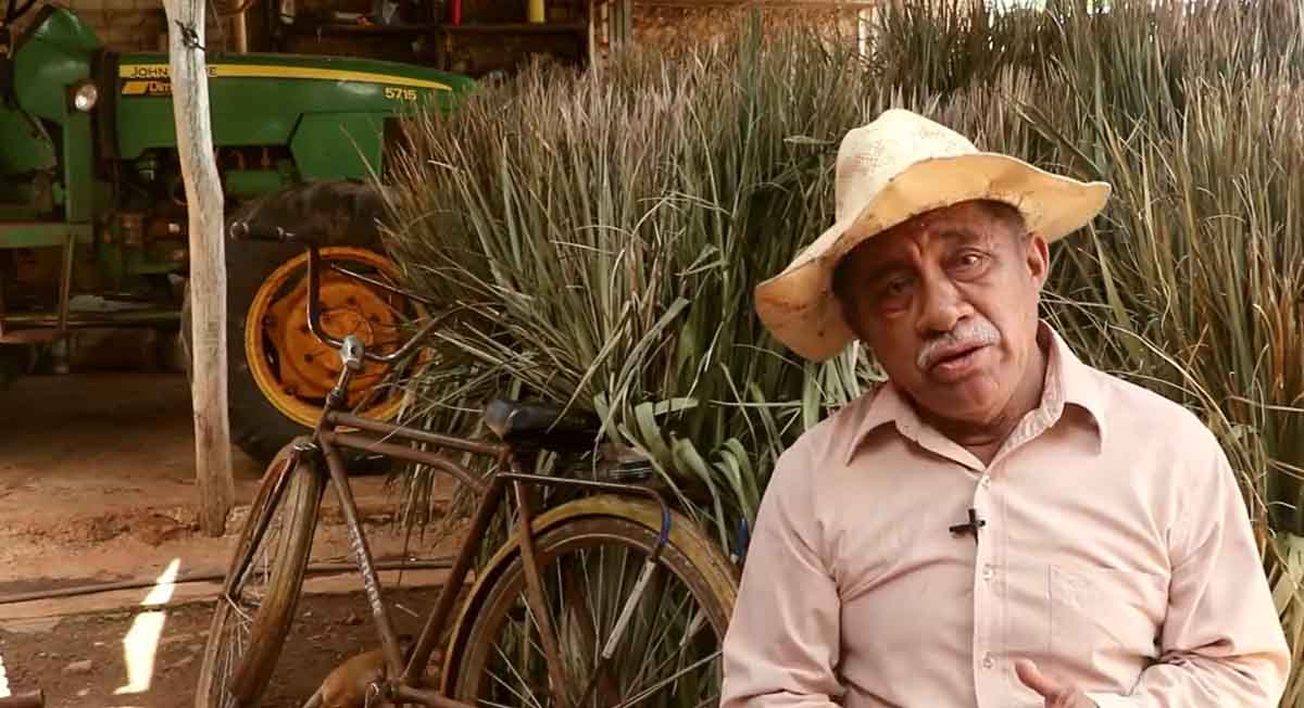 Pensión Bienestar ¿Cómo formar parte de este programa 2022?