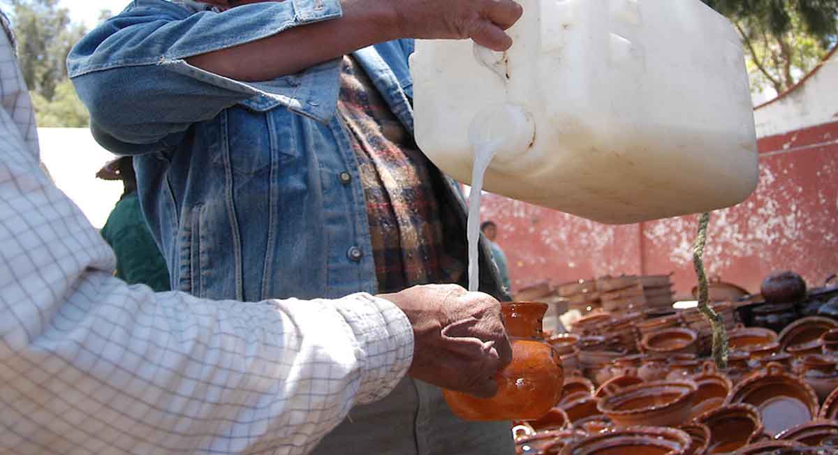 persona degusta pulque en jarro en feria del pulque ydel pozole 2022 en san felipe tlalmiminolpan