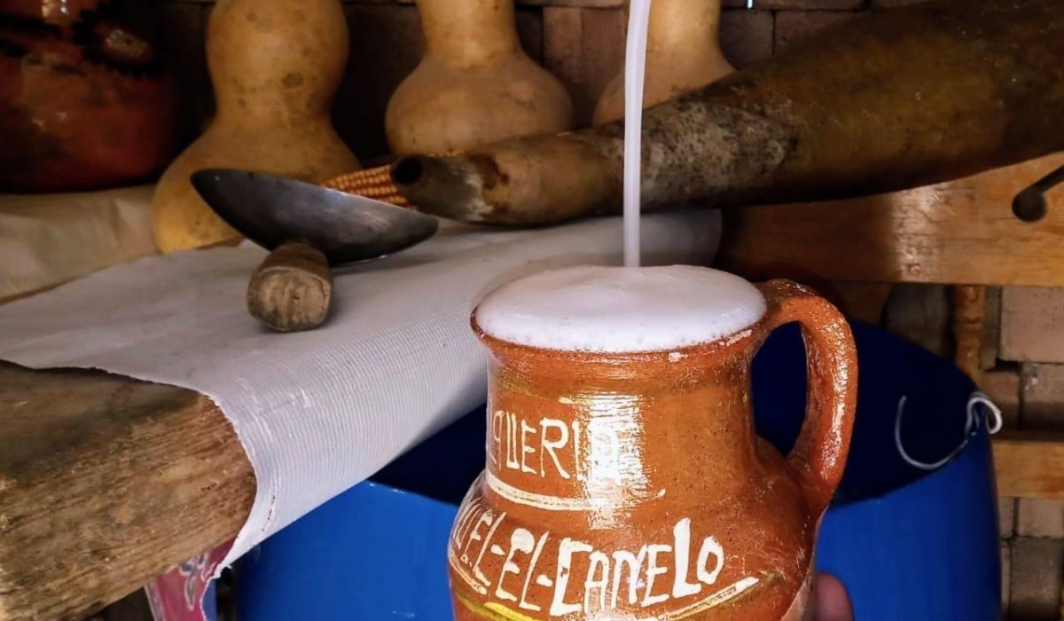 Fechas, actividades y ubicación exacta de la 12va feria del pulque EdoMéx 2022