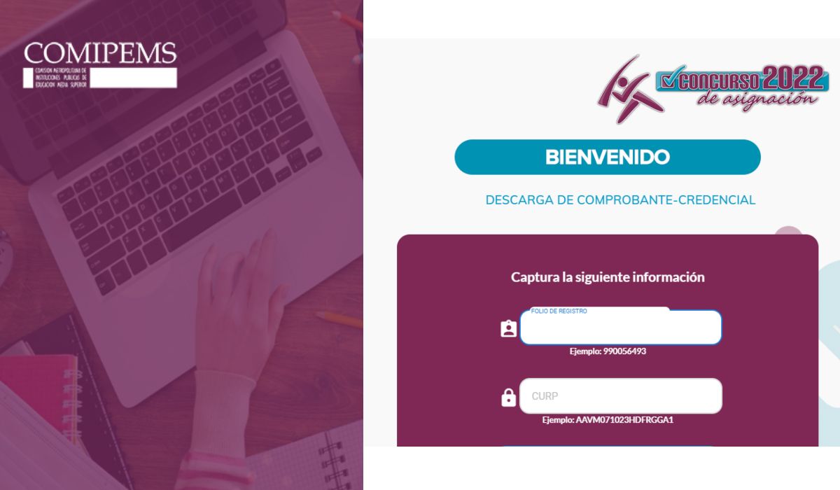Captura de pantalla donde se puede realizar la consulta de la credencial