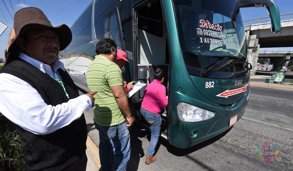 Caminante y Flecha Roja anuncian aumento en sus tarifas