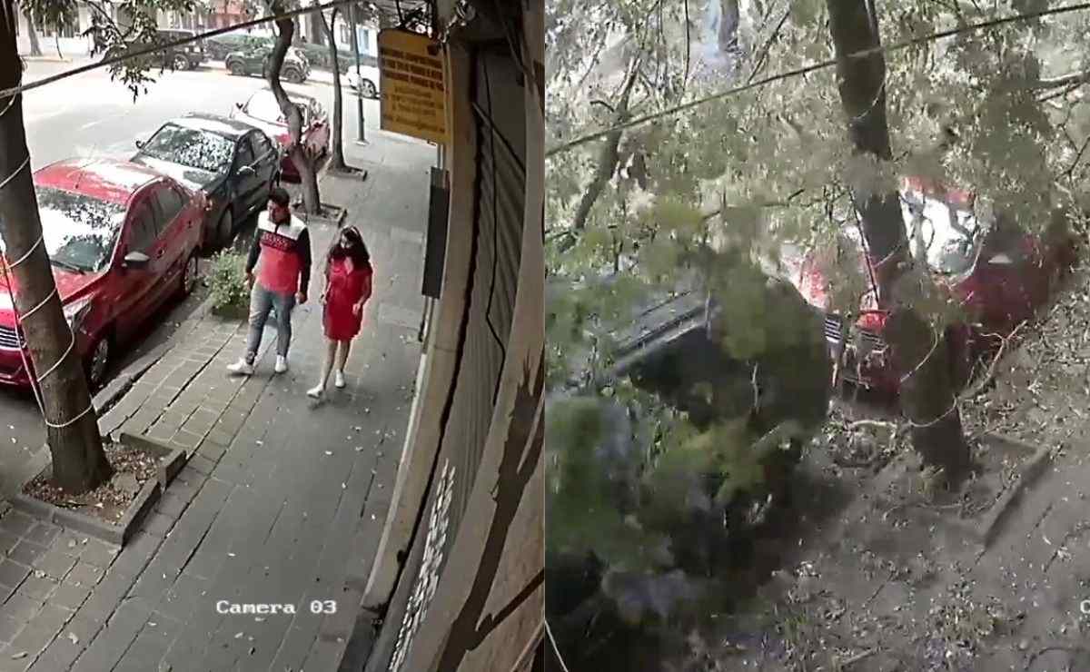 Una pareja se salva de ser aplastada por un árbol mientras caminaban con calles de la CDMX