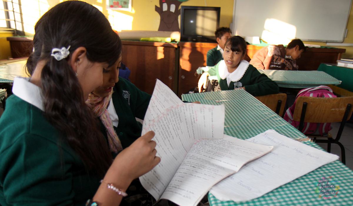 Razón de la suspensión de clases del 17 de junio para alumnos de la SEP