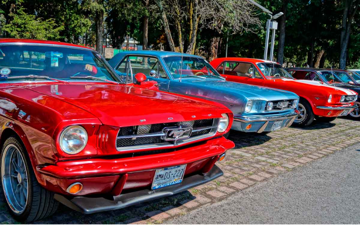 coleccion y exhibicion de autos en toluca por dia del padre