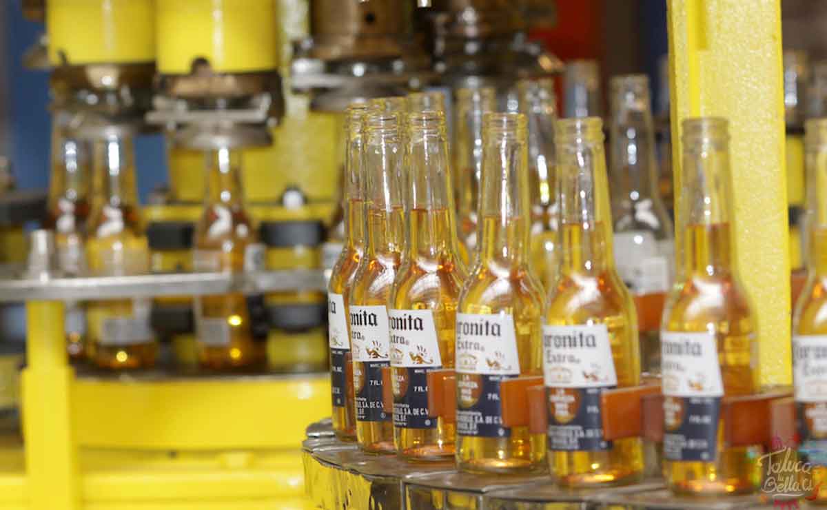 Lote de cervezas corona