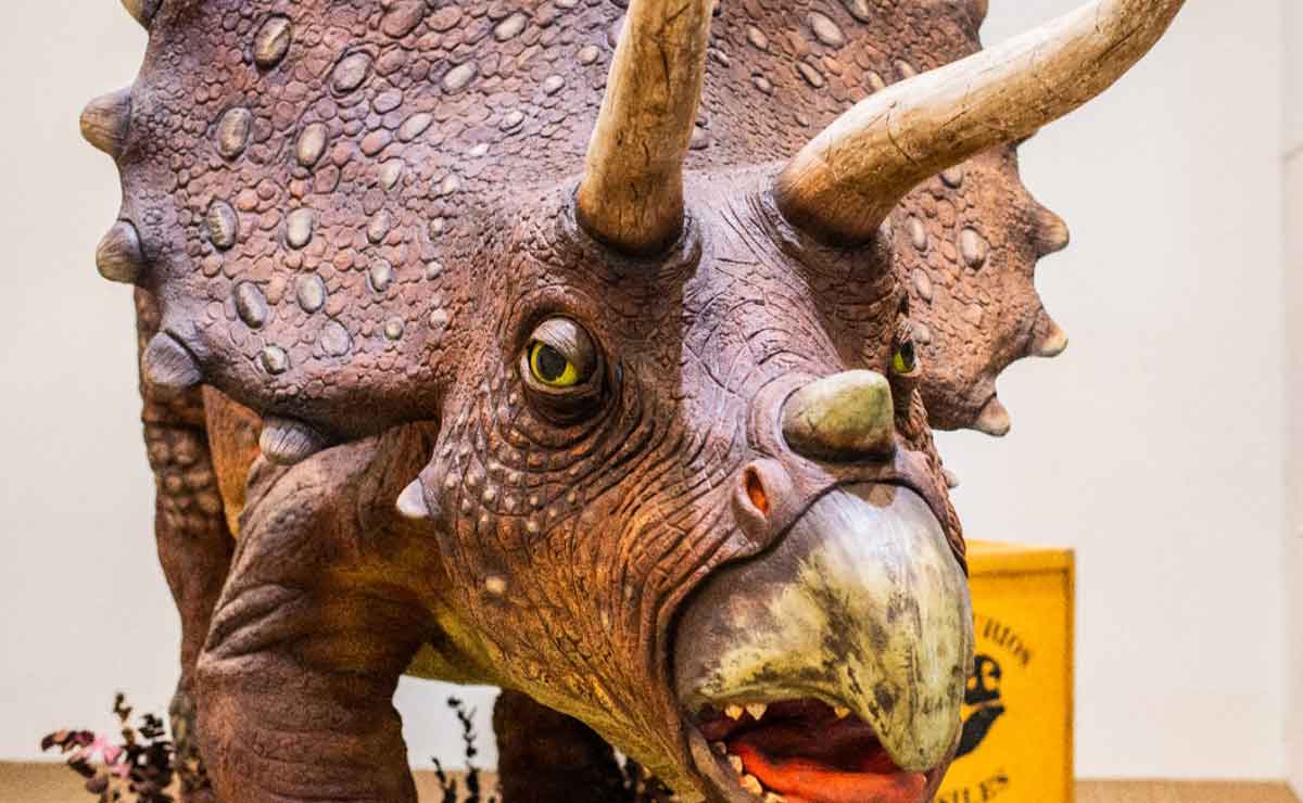 Dinosaurio de la exposición de Toluca
