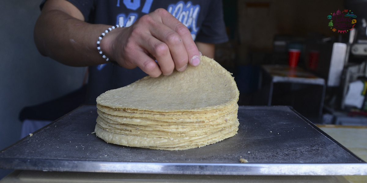 Precio de la Tortilla ¿Cuál es precio que señala la Profeco?