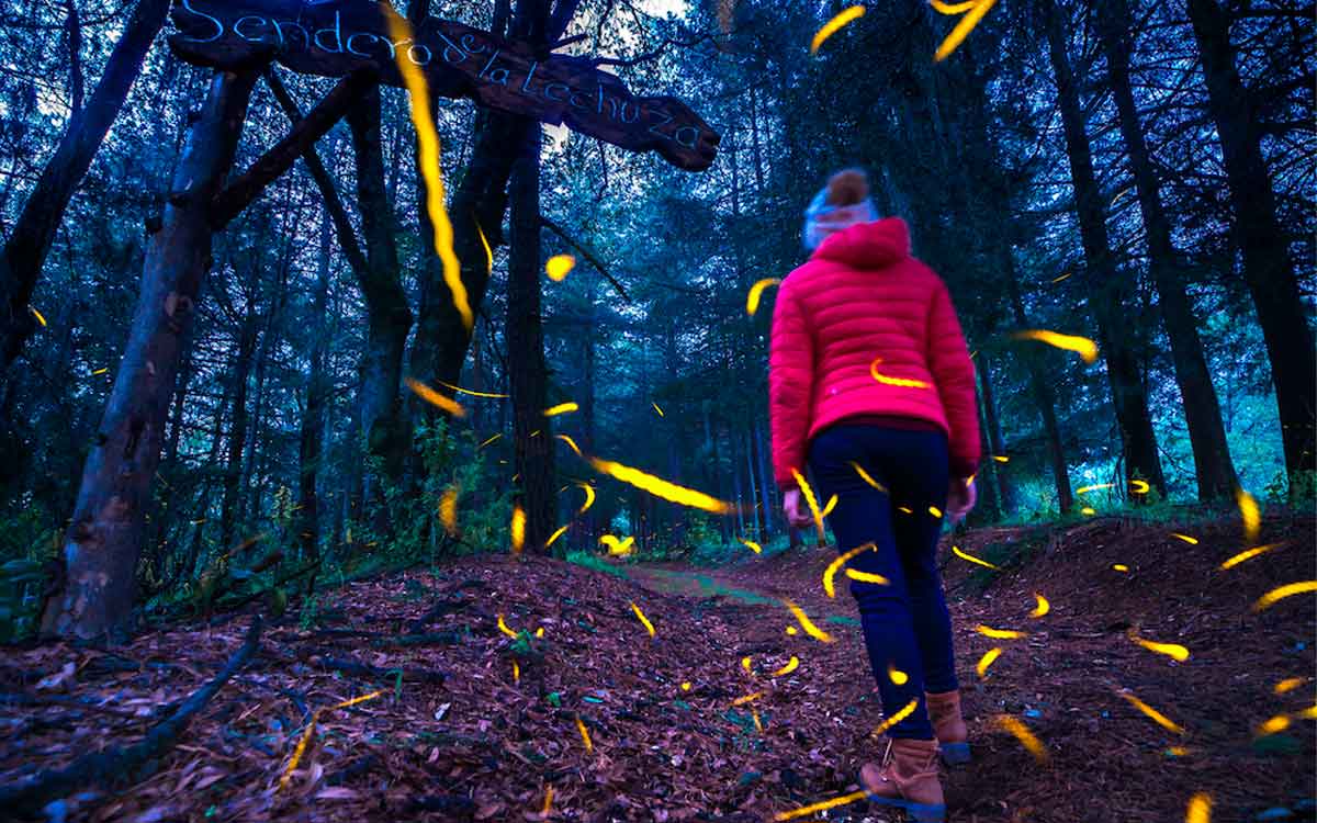 chica caminando en sendero en el festival de las luciernagas 2022 en edomex