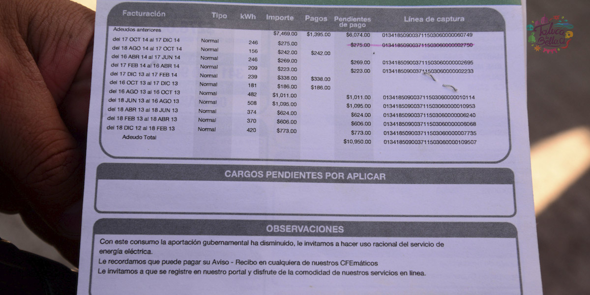 CFE Verano 2022 ¿Cuáles son los vampiros eléctricos?