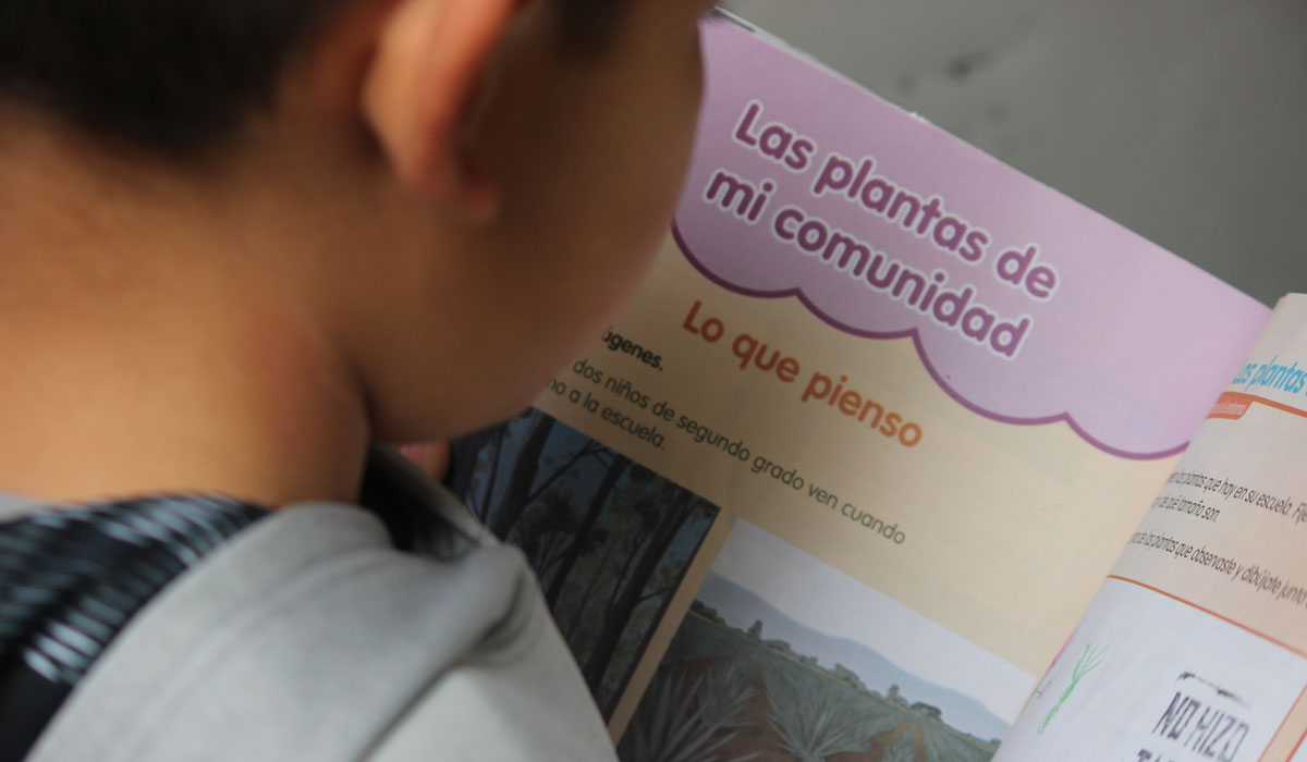 Esta es la fecha límite para realizar el registro de tu hijo o hija al programa PAEB Edoméx 2022, checa los pasos y los requisitos.