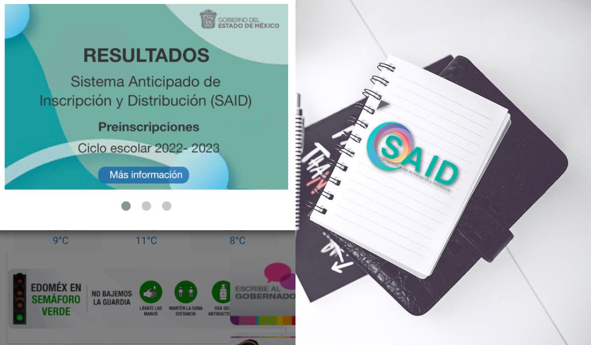 ¿Qué hacer en caso de que no cargue la página del SAID 2022?