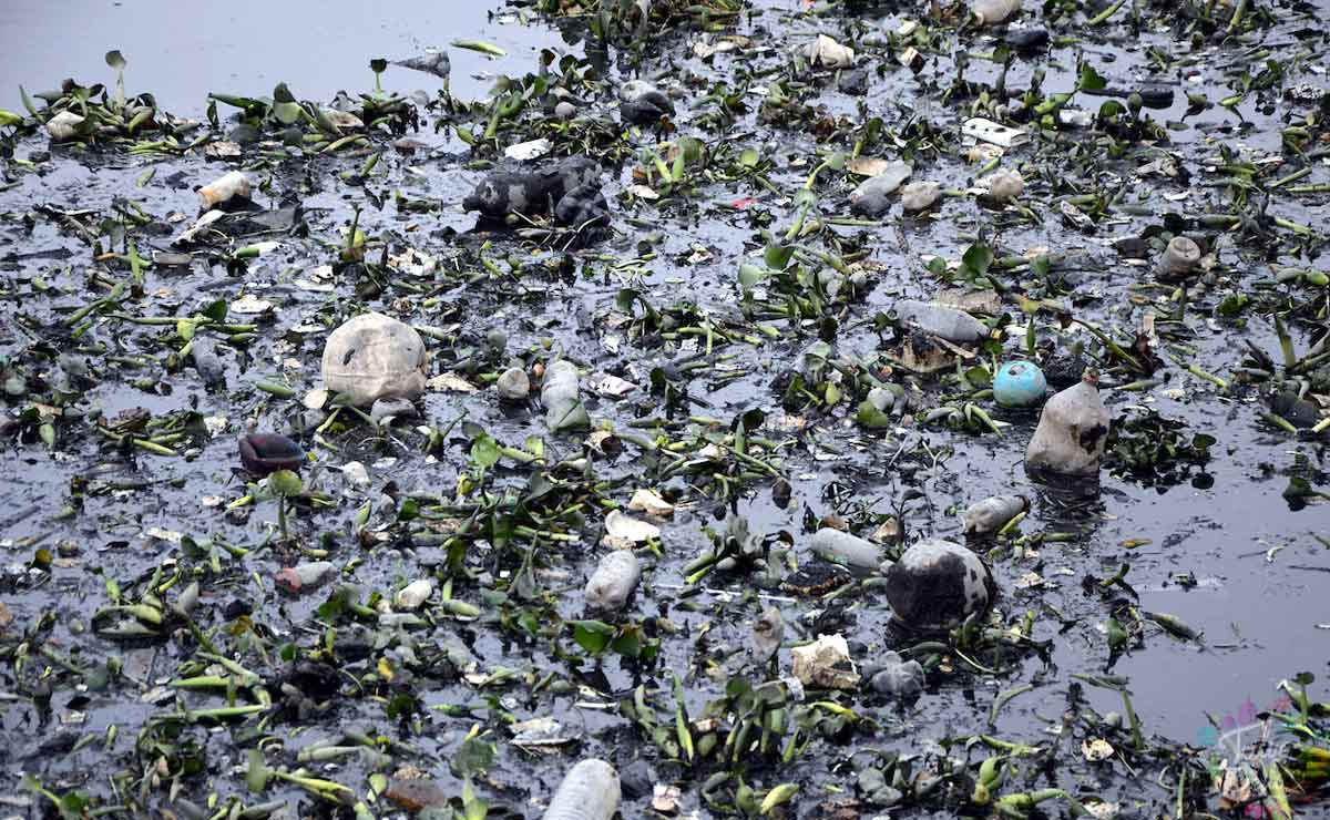 Río Lerma lleno de basura