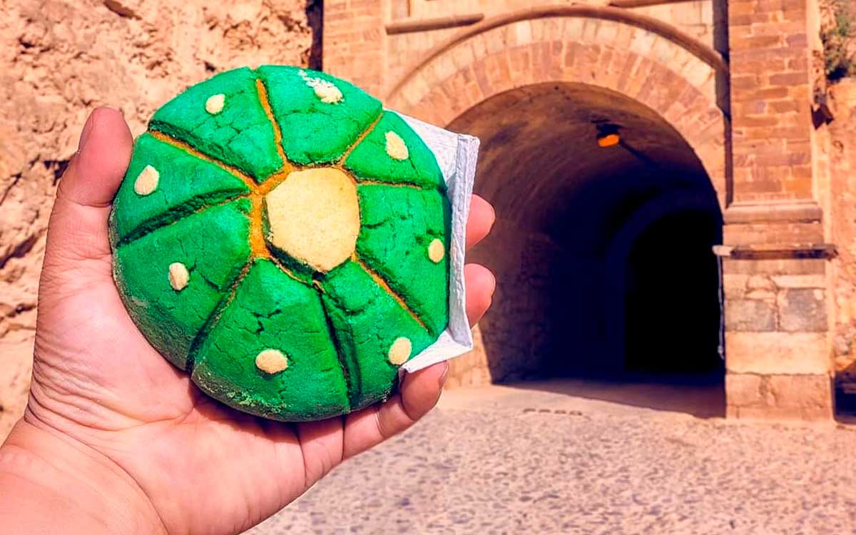 donde venden la peyoconcha