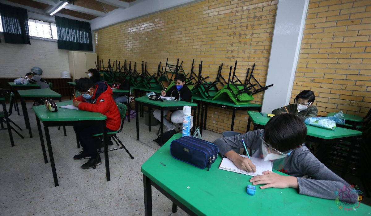 Fases de aprendizaje - ¿Se implementarán en el ciclo escolar 2022-2023?