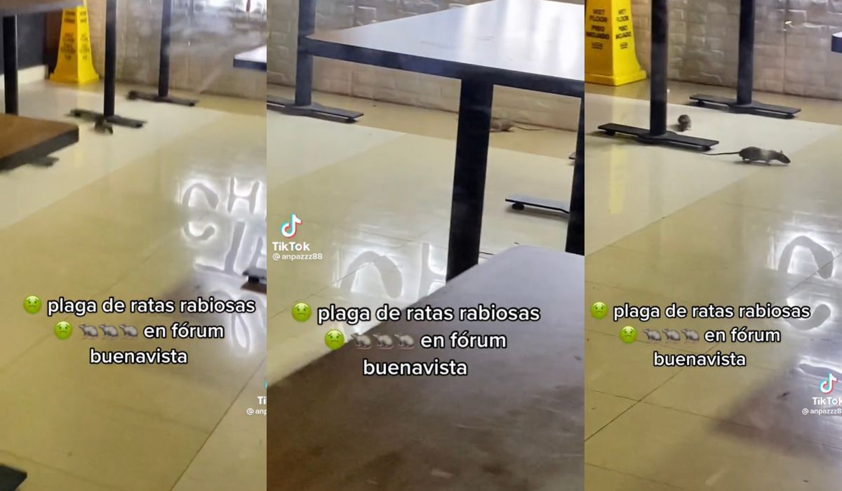 ¿Qué pasó ahí?, captan roedores en restaurante de un centro comercial 