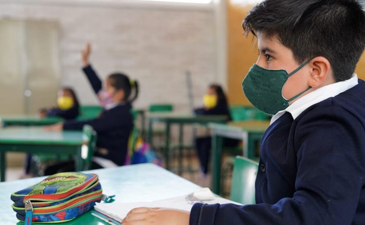 Ya puedes consultar los resultados de las preinscripciones del SAID 2022 para preescolar, primaria y secundaria