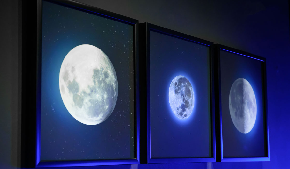 Si no tienes planes para este fin de semana en Toluca, disfruta de las increíbles postales que la Galería Lumière tiene para ti.