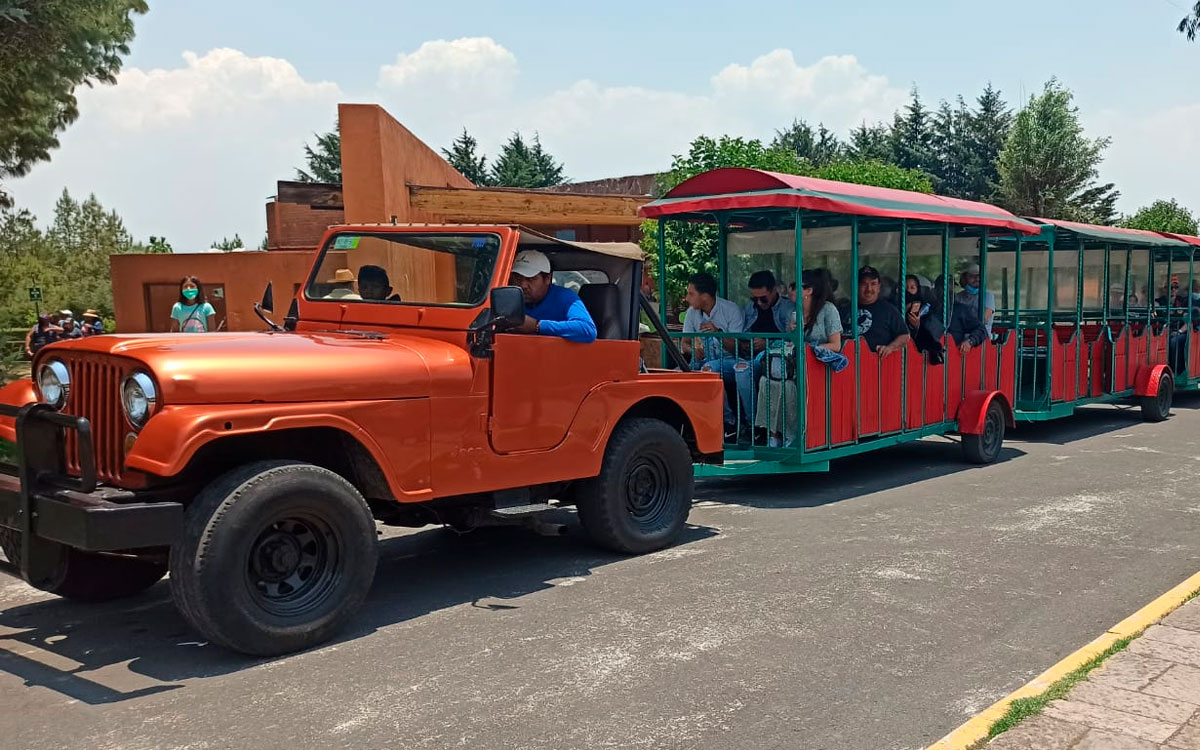 recorrido nocturno zoologico de zacango dia de muertos 2022