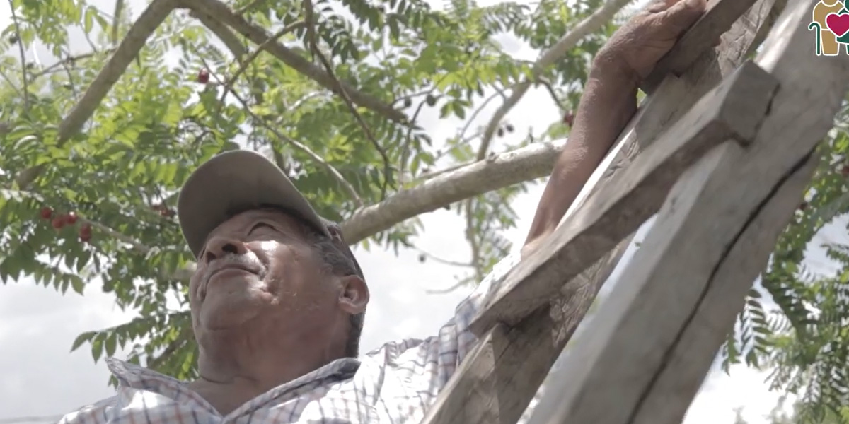 Pensión adultos mayores tendrá un aumento ¿Cuándo será?