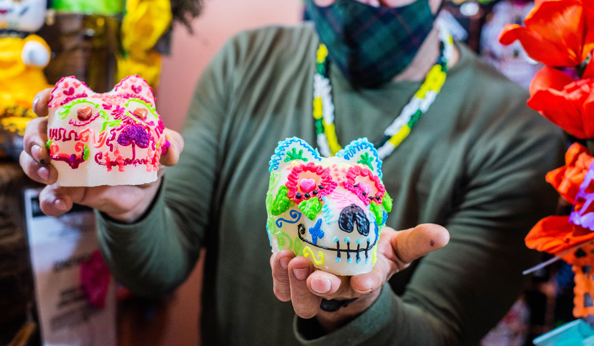 Día de Muertos 2022: Formaron parte de tu vida y lo harán siempre. ¿Cuándo llegan las mascotas a las ofrendas? Aquí te decimos la fecha.