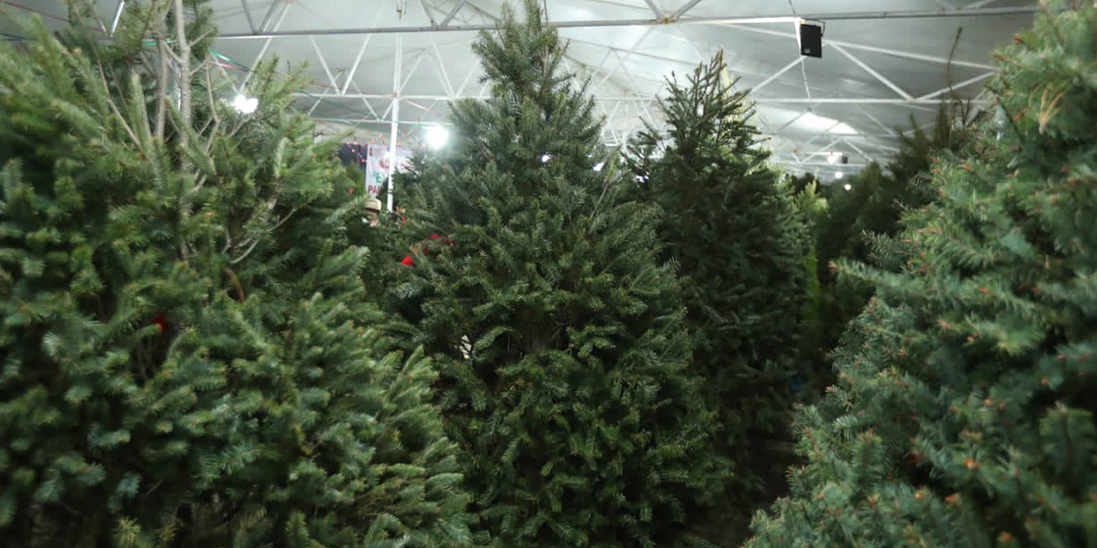 Feria Navideña Edomex 2022 ¿Dónde se llevará a cabo?