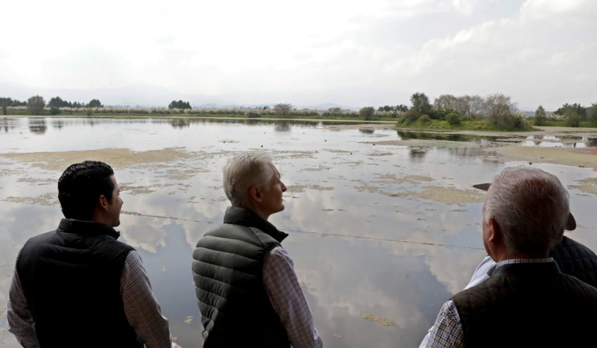 ¿Ya lo conoces?, Toluca tiene su ajolotario, único en el mundo  