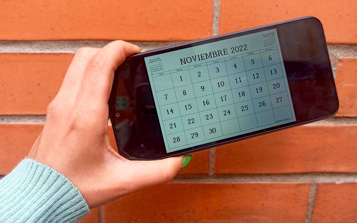 fecha del dia feriado noviembre 2022