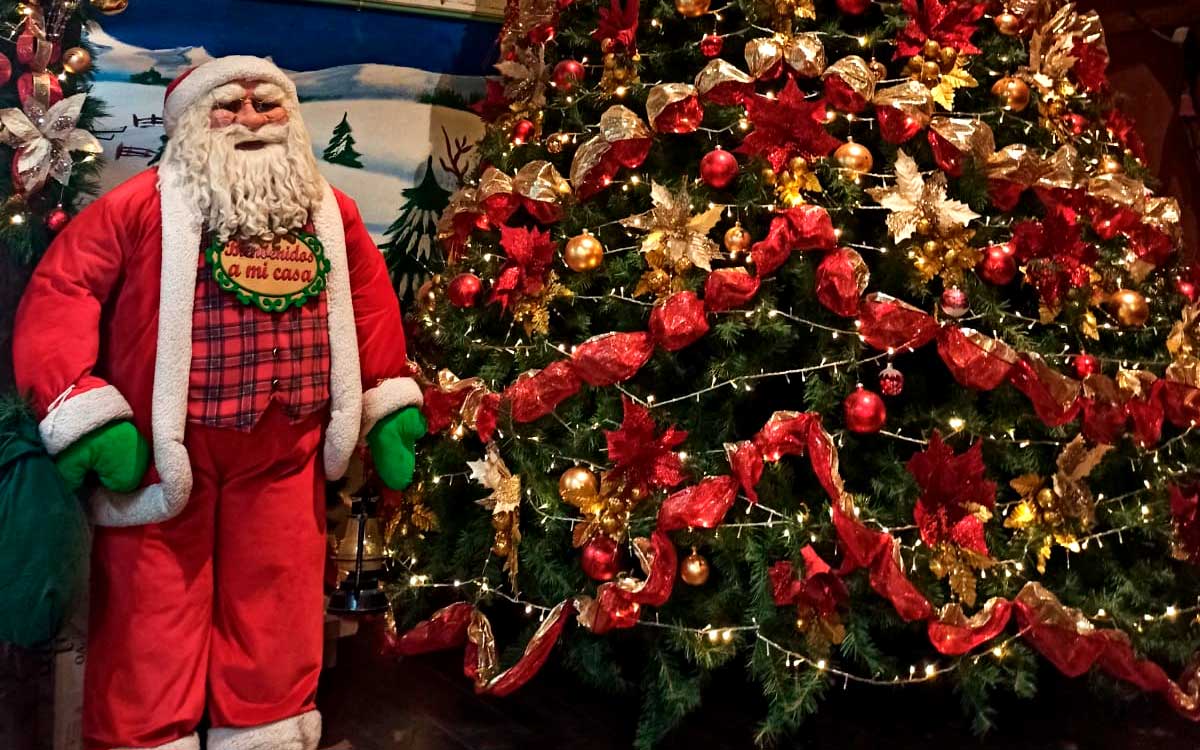 magico encendido de árbol navidad 2022 en toluca