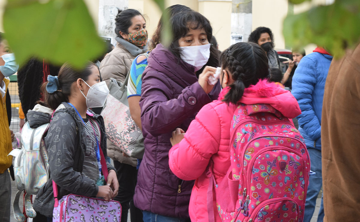 Boletas de calificaciones sep