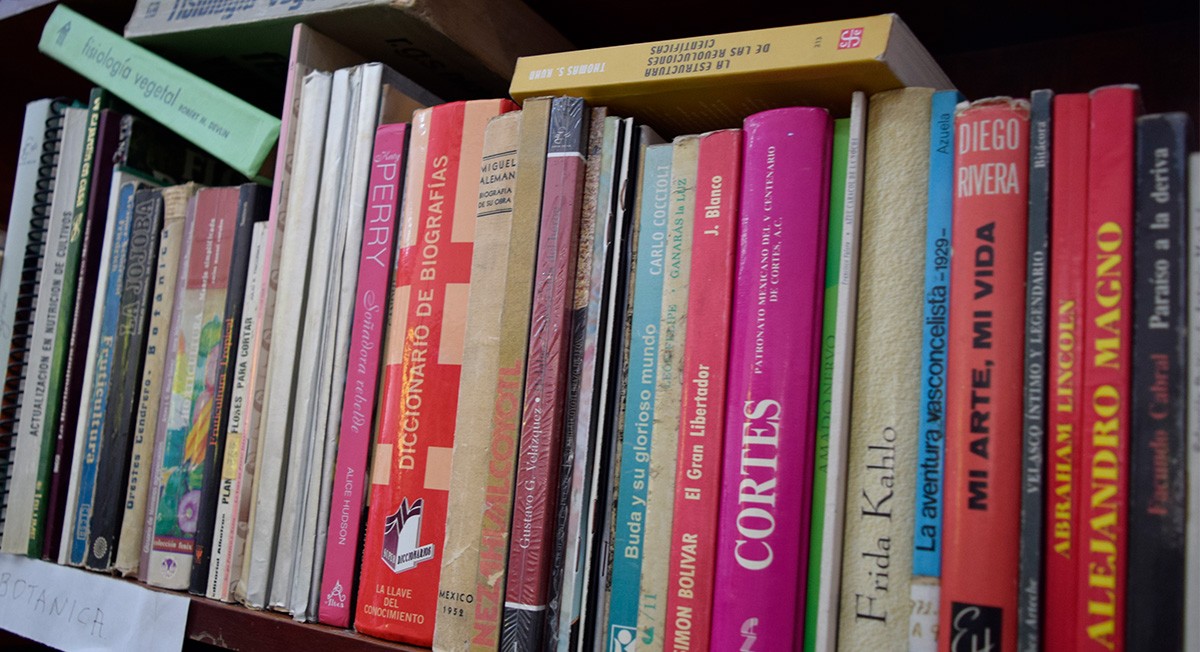 Libros de biblioteca