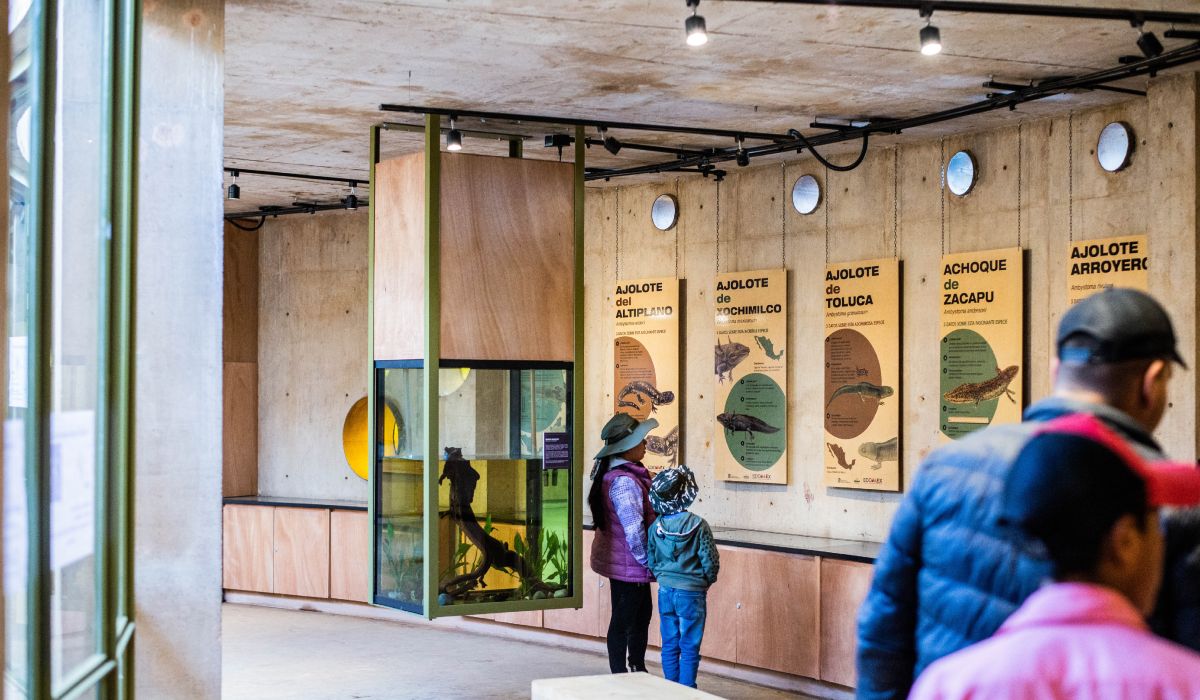 ¿No sabes llegar al nuevo ajolotario de Toluca?, aquí la ubicación exacta
