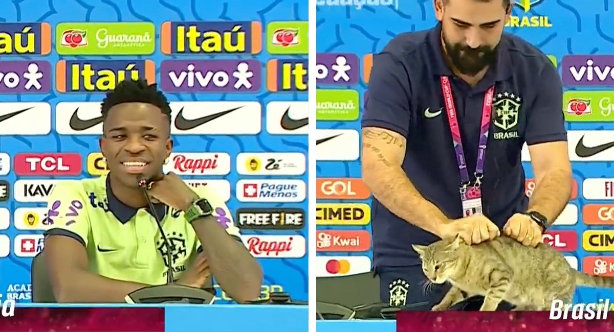 Gato aparece en conferencia de la Selección de Brasil